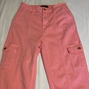 Judy Blue Vibrant Pink Pants
